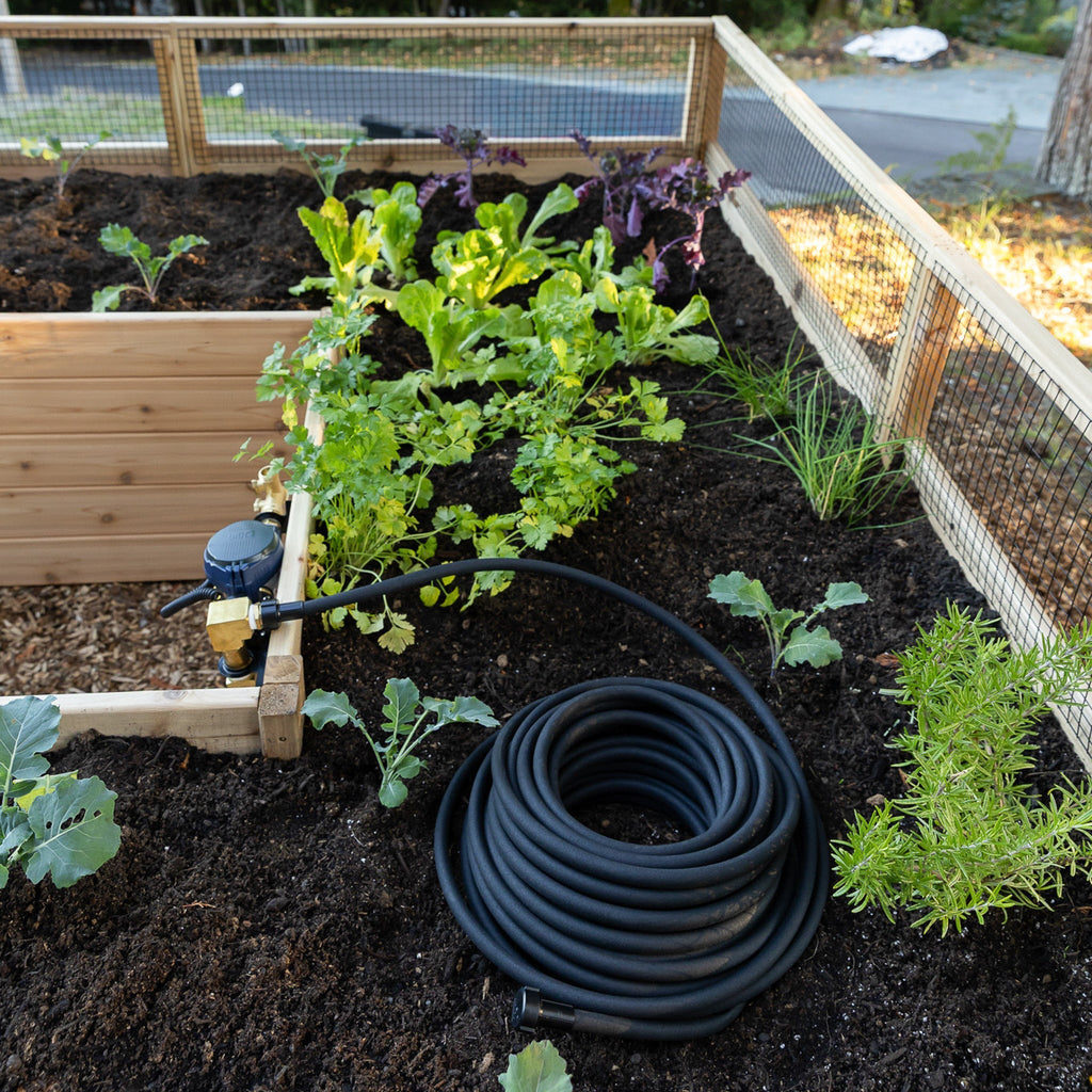 Cedar Complete Raised Garden Bed Kit with Greenhouse Cover 8′ x 12′