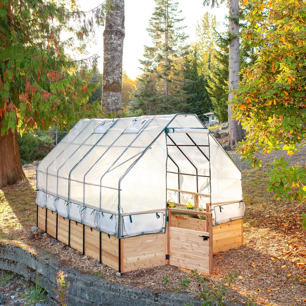 Cedar Complete Raised Garden Bed Kit with Greenhouse Cover 8′ x 12′