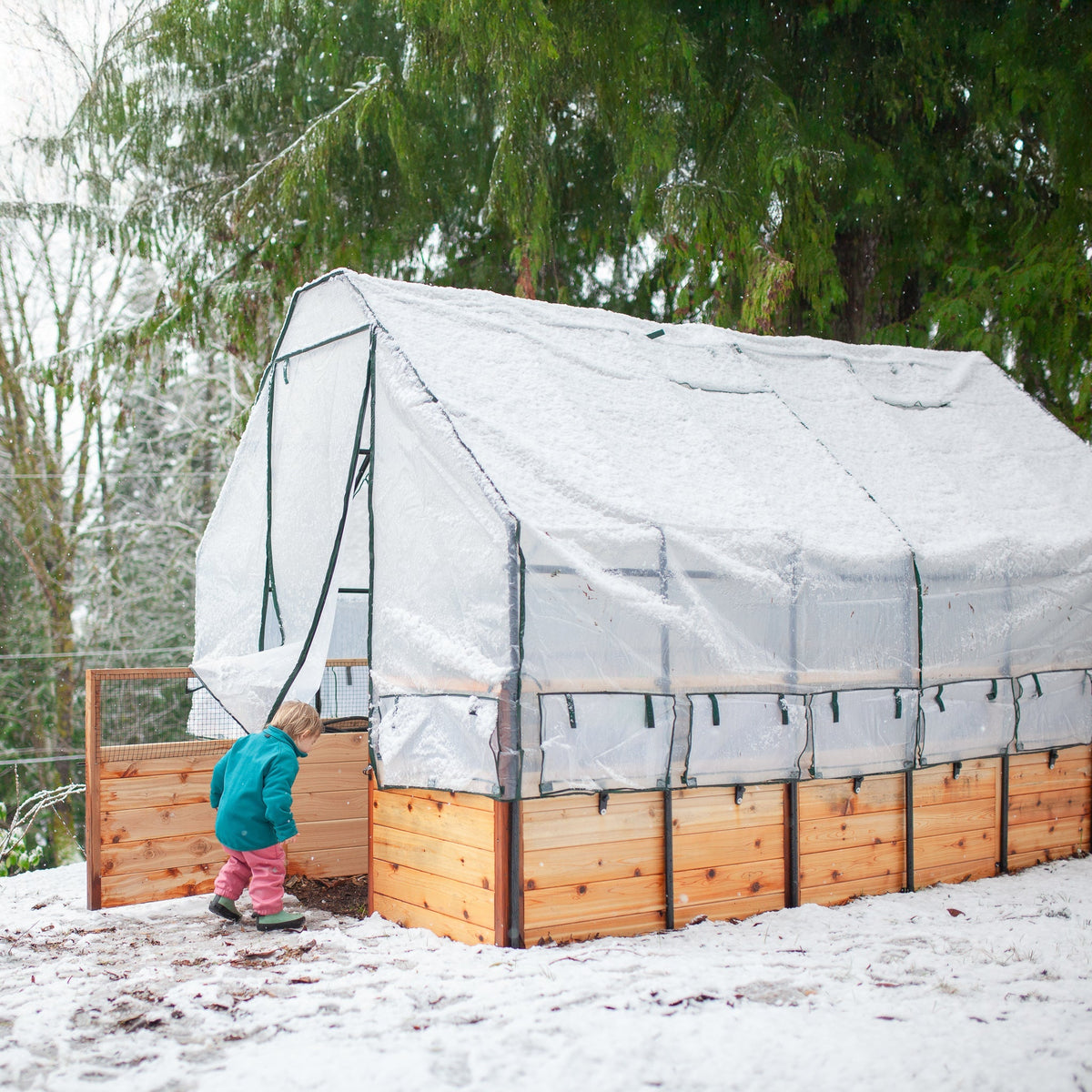 Cedar Complete Raised Garden Bed Kit with Greenhouse Cover 8′ x 12′