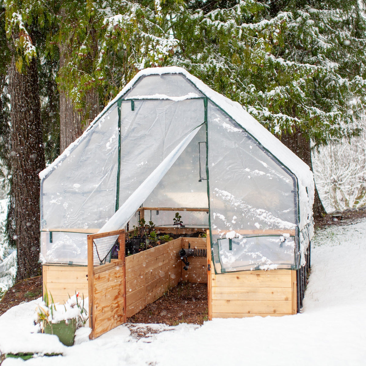 Cedar Complete Raised Garden Bed Kit with Greenhouse Cover 8′ x 12′